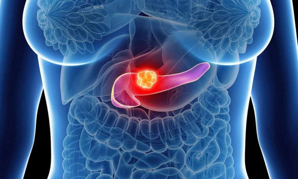 Νέα έρευνα: Mπορεί ο κορονοϊός να καταστρέψει ζωτικά όργανα;